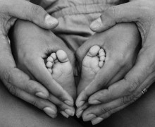 Hands family